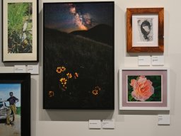 2026 Juried Fine Arts Show