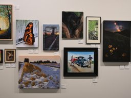2026 Juried Fine Arts Show