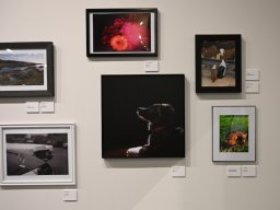 2026 Juried Fine Arts Show
